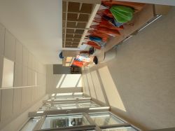 IMG 4947